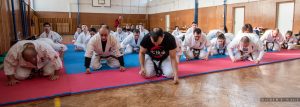 seishinkarateklubrozsagaboredzes (1)