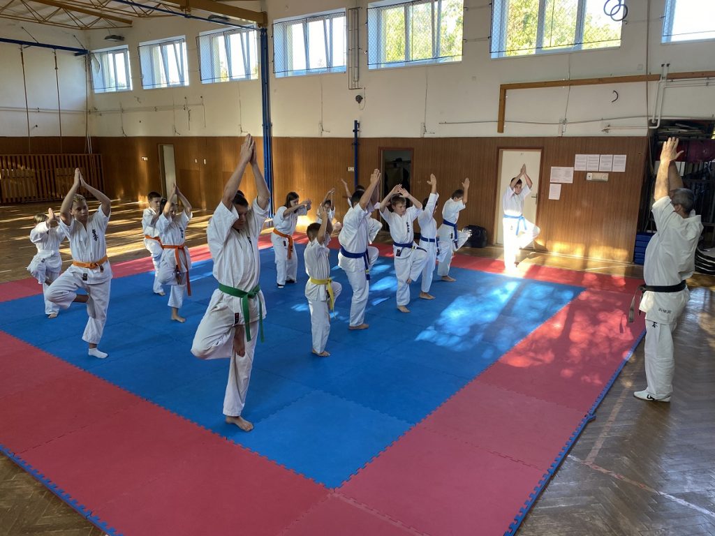Seishin Karate Kluboszi tabor gyerek edzes 2021