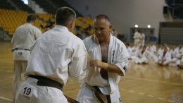 Seishin Karate Klub Markovics dojo, Shihan, danvizsga