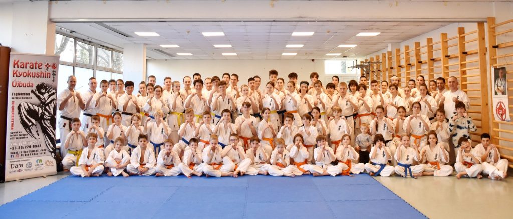 Seishin Karate Klub Budapesten oktatott markovics János, és Huapian Kristína1